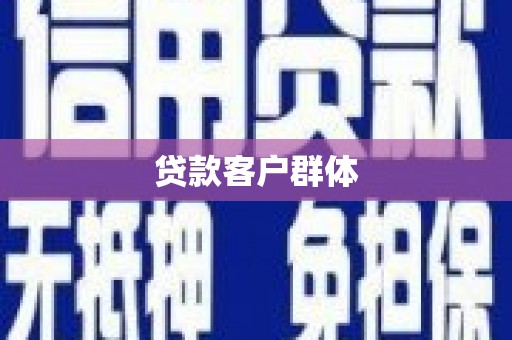 雨城贷款客户群体