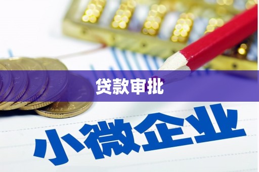 雨城贷款审批
