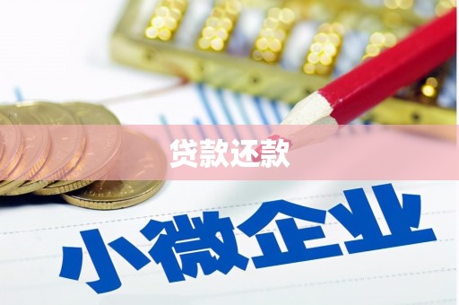 雨城贷款还款