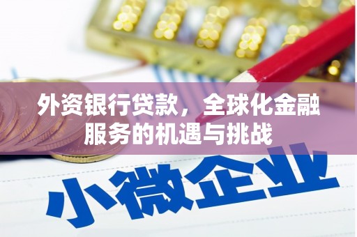 雨城外资银行贷款，全球化金融服务的机遇与挑战