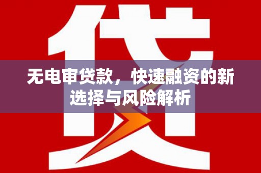 雨城无电审贷款，快速融资的新选择与风险解析