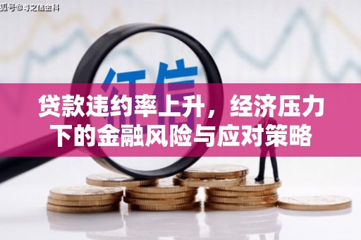雨城贷款违约率上升，经济压力下的金融风险与应对策略