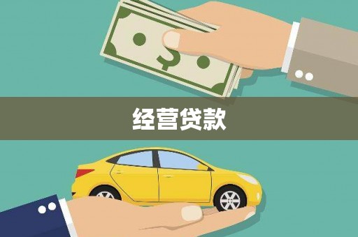 雨城经营贷款