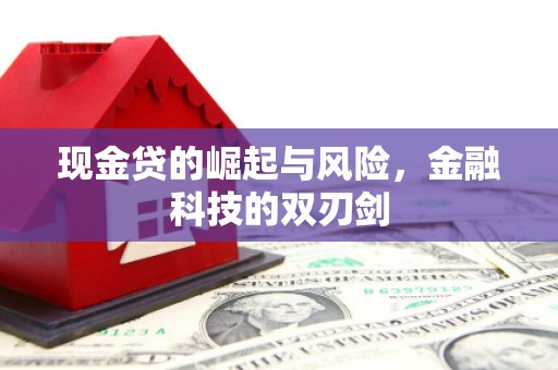雨城现金贷的崛起与风险，金融科技的双刃剑