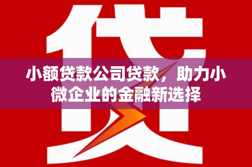 雨城小额贷款公司贷款，助力小微企业的金融新选择