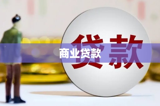雨城商业贷款