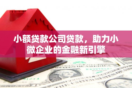 雨城小额贷款公司贷款，助力小微企业的金融新引擎