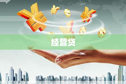 雨城经营贷
