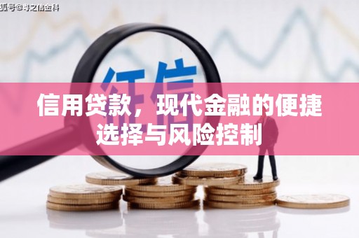 雨城信用贷款，现代金融的便捷选择与风险控制