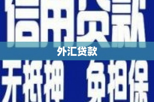 雨城外汇贷款