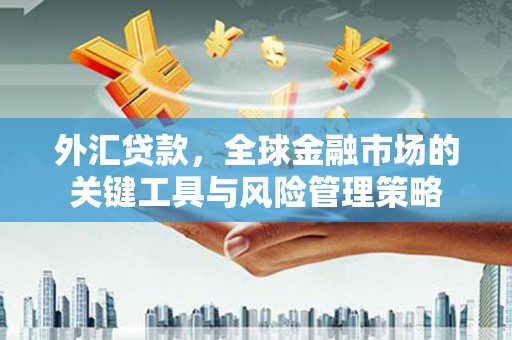 雨城外汇贷款，全球金融市场的关键工具与风险管理策略