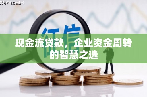 雨城现金流贷款，企业资金周转的智慧之选