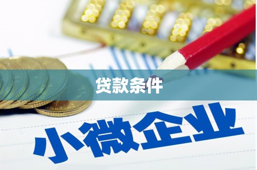 雨城贷款条件