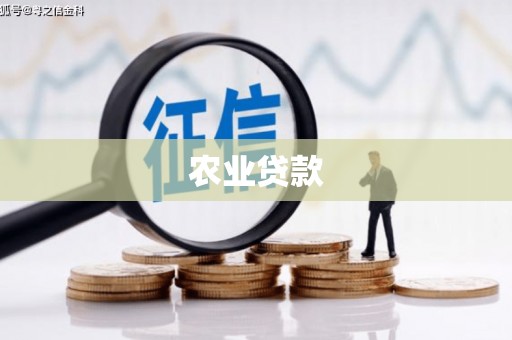 雨城农业贷款