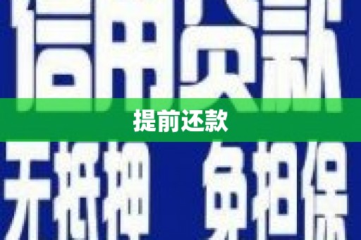 雨城提前还款