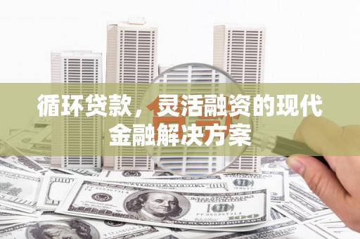 雨城循环贷款，灵活融资的现代金融解决方案