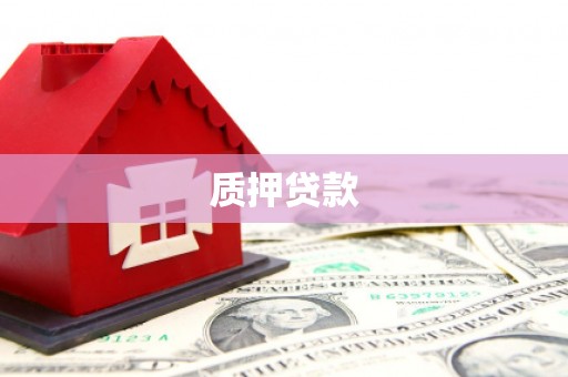 雨城质押贷款