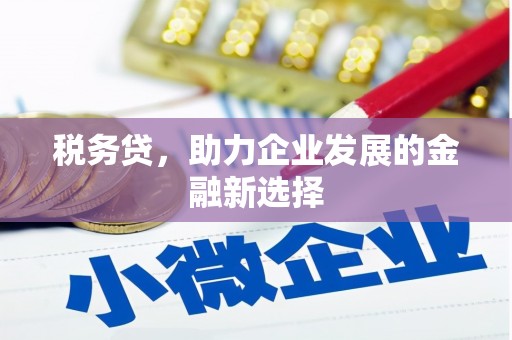 雨城税务贷，助力企业发展的金融新选择