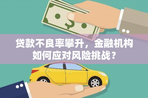 雨城贷款不良率攀升，金融机构如何应对风险挑战？