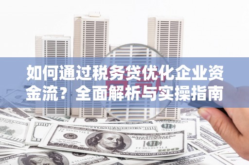 雨城如何通过税务贷优化企业资金流？全面解析与实操指南