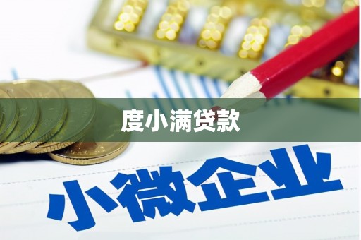 雨城度小满贷款