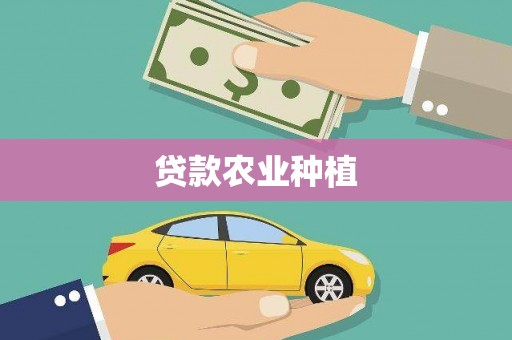 雨城贷款农业种植