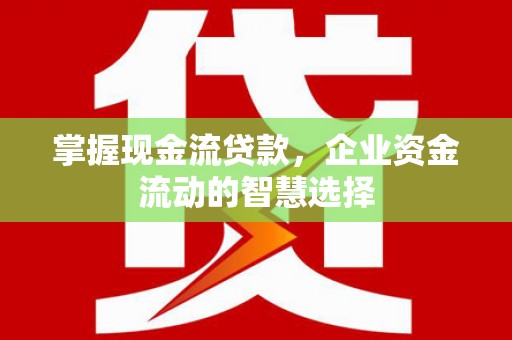 雨城掌握现金流贷款，企业资金流动的智慧选择