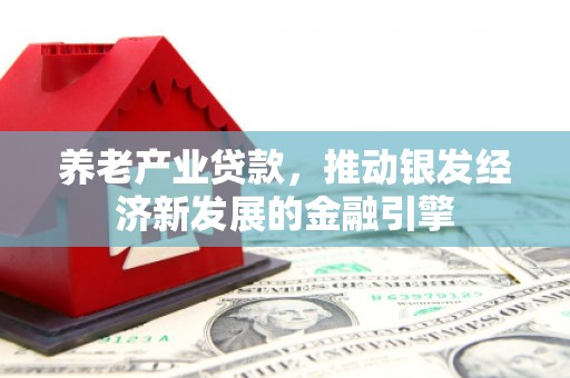 雨城养老产业贷款，推动银发经济新发展的金融引擎