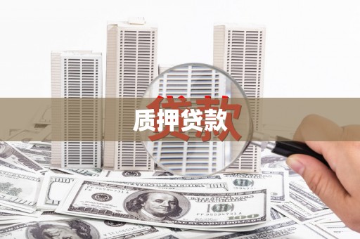 雨城质押贷款