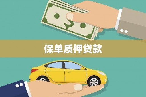 雨城保单质押贷款