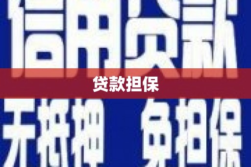 雨城贷款担保