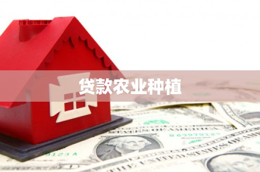 雨城贷款农业种植