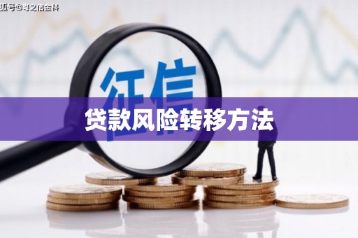 雨城贷款风险转移方法