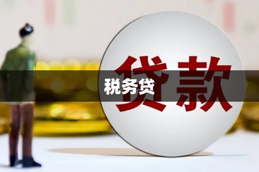 雨城税务贷
