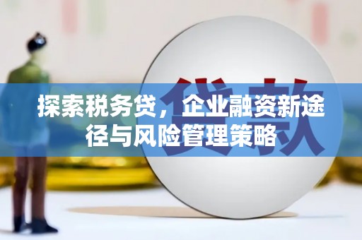 雨城探索税务贷，企业融资新途径与风险管理策略