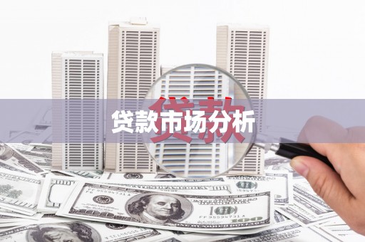 雨城贷款市场分析