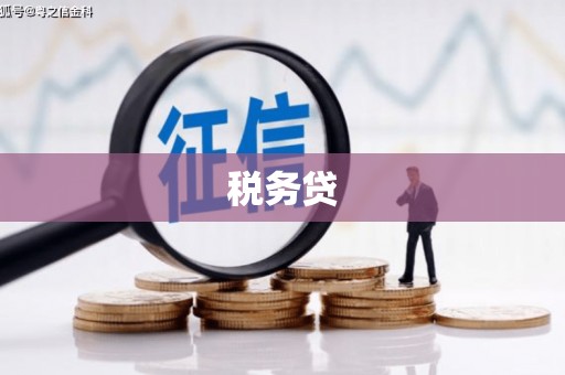 雨城税务贷