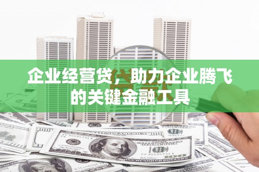 雨城企业经营贷，助力企业腾飞的关键金融工具