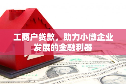雨城工商户贷款，助力小微企业发展的金融利器