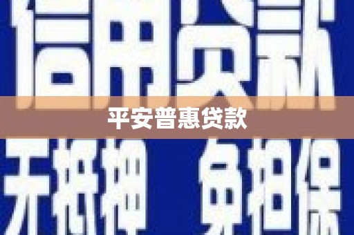 雨城平安普惠贷款