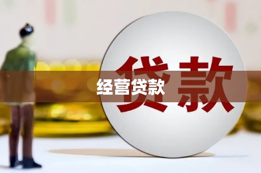 雨城经营贷款