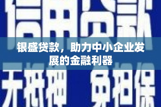 雨城银盛贷款，助力中小企业发展的金融利器