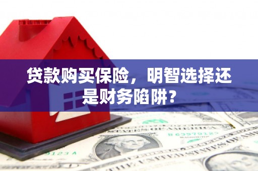雨城贷款购买保险，明智选择还是财务陷阱？