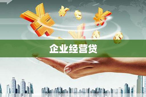 雨城企业经营贷