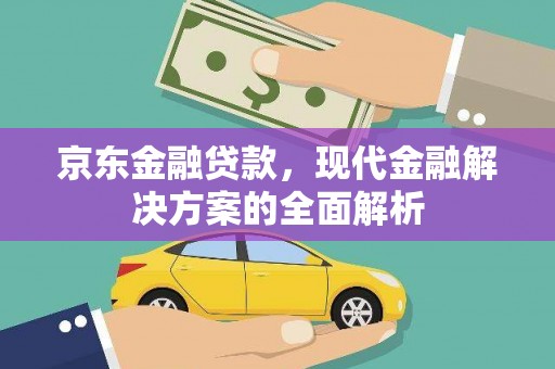 雨城京东金融贷款，现代金融解决方案的全面解析