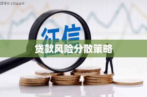 雨城贷款风险分散策略