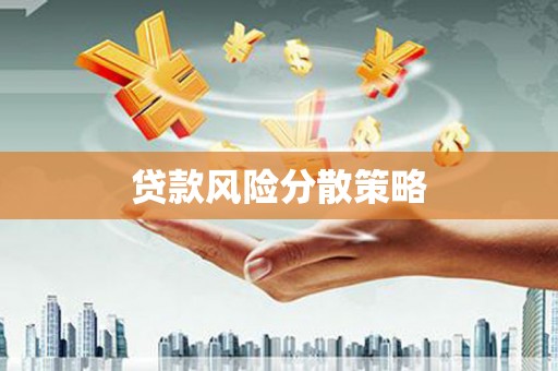 雨城贷款风险分散策略
