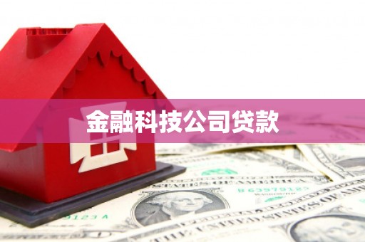 雨城金融科技公司贷款
