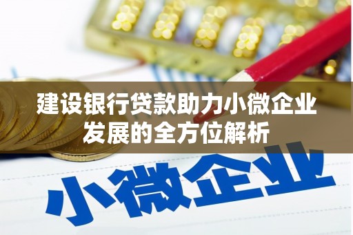 雨城建设银行贷款助力小微企业发展的全方位解析