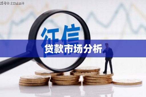 雨城贷款市场分析